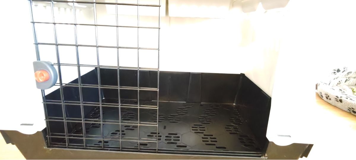 Gabbie, trasporto & Sicurezza: Transportbox Qualipet – Usato da Schliern b. Köniz venduto da jul_ly8x 5
