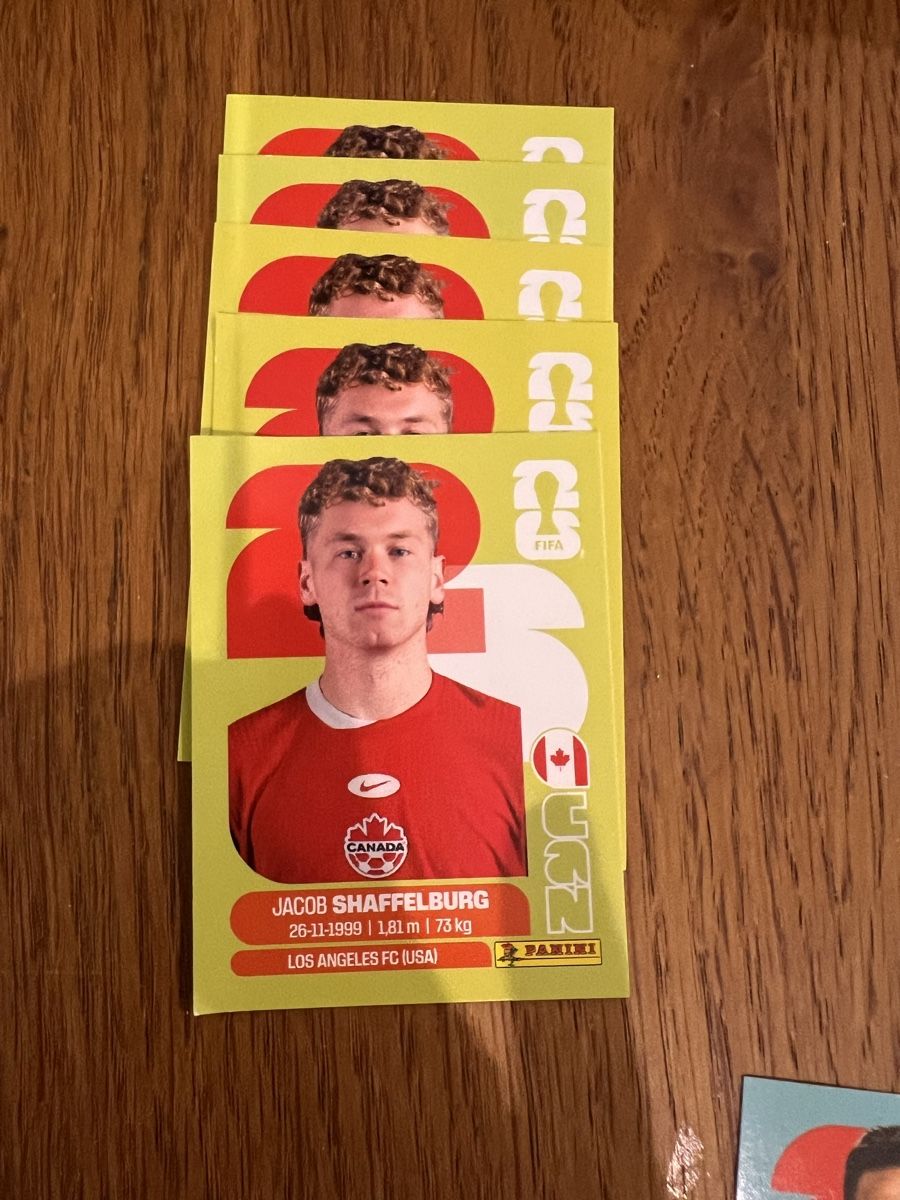 Panini Carte collezionabili: Panini Canada Jakob Shaffelburg – Nuovo (secondo la descrizione) da Volketswil venduto da JulBar2014