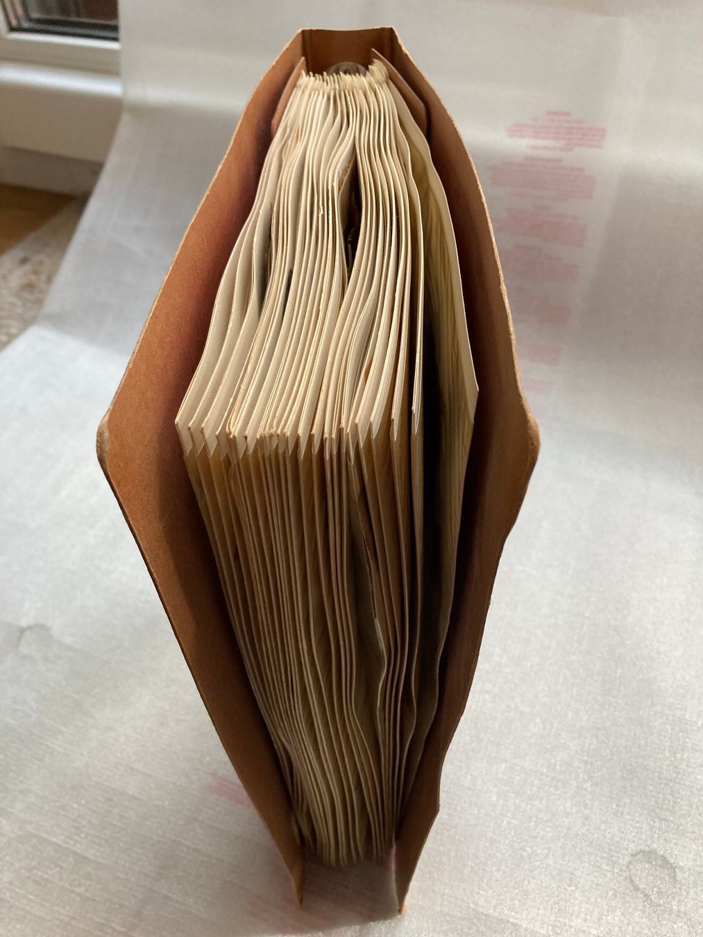 Libri: Botanisches Herbarium mit Heilpflanzen – Usato da Horgen venduto da Goros 7