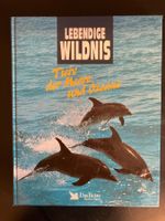 Tiere der Meere und Ozeane. Lebendige Wildnis