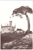 OLTEN - Säli Schlössli vom alten Säli Schlössli ca. 1910 (SO