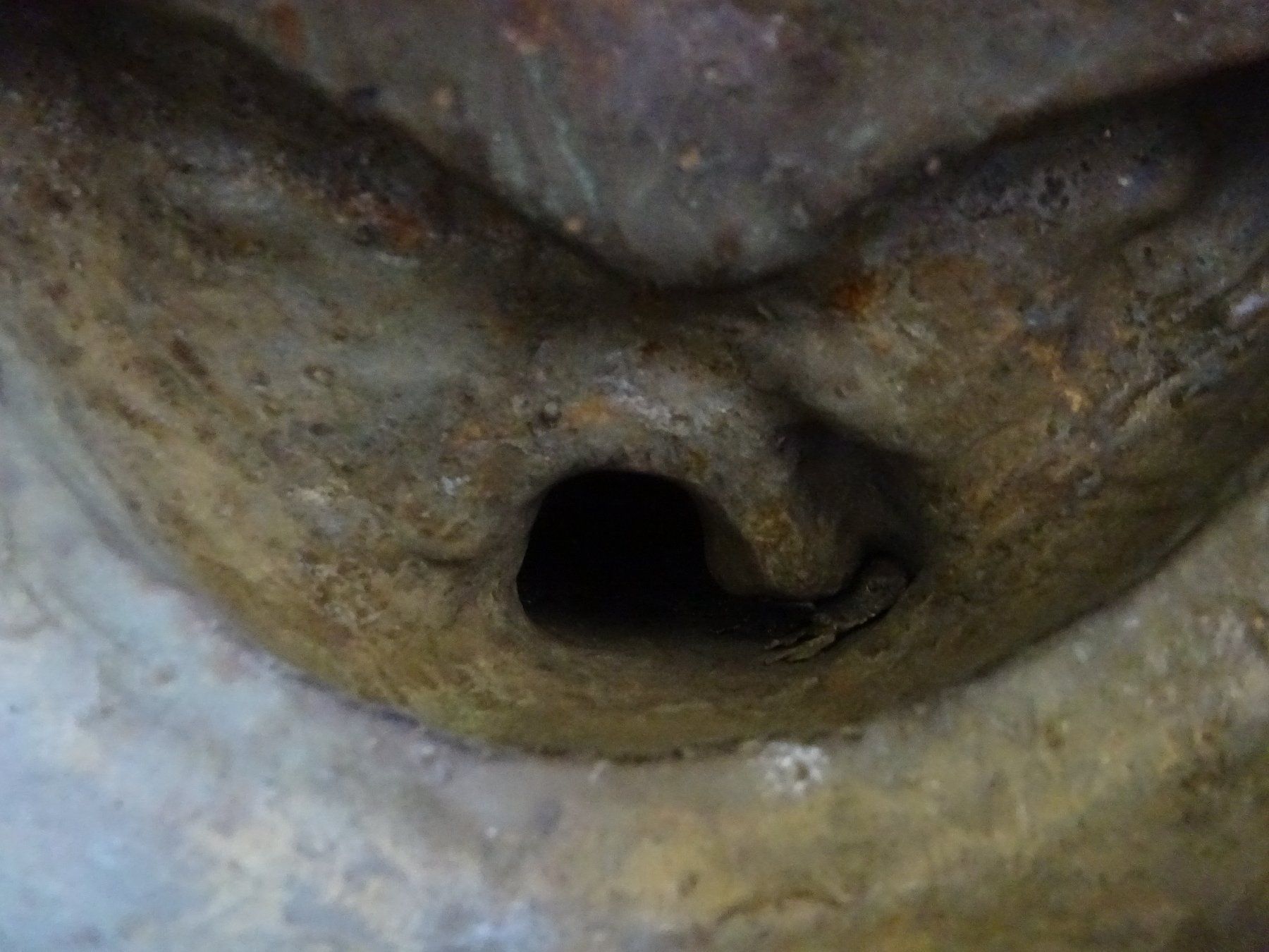 Sculture & Statue: Bronze Buddha / 19Jh. – Usato da Esslingen venduto da eintagammeer 8