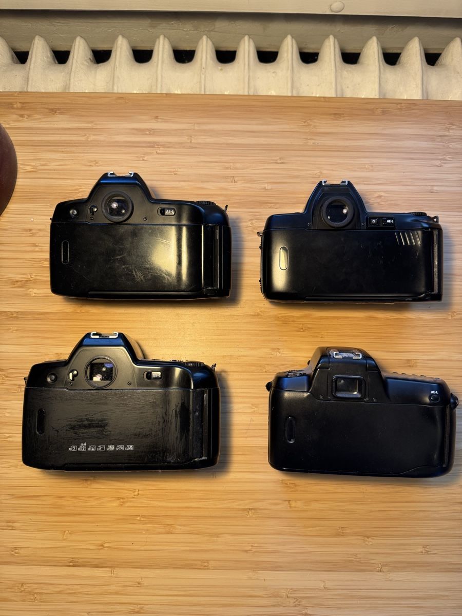 Nikon Fotocamera: Nikon Analogkamera-Set, 4 Bod – Usato da Zürich venduto da SalernoElia 1