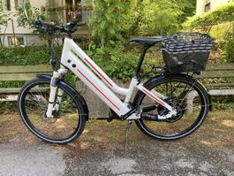 Stromer 500 VIN V1.0-V1.1  45km/h mit Ausweis