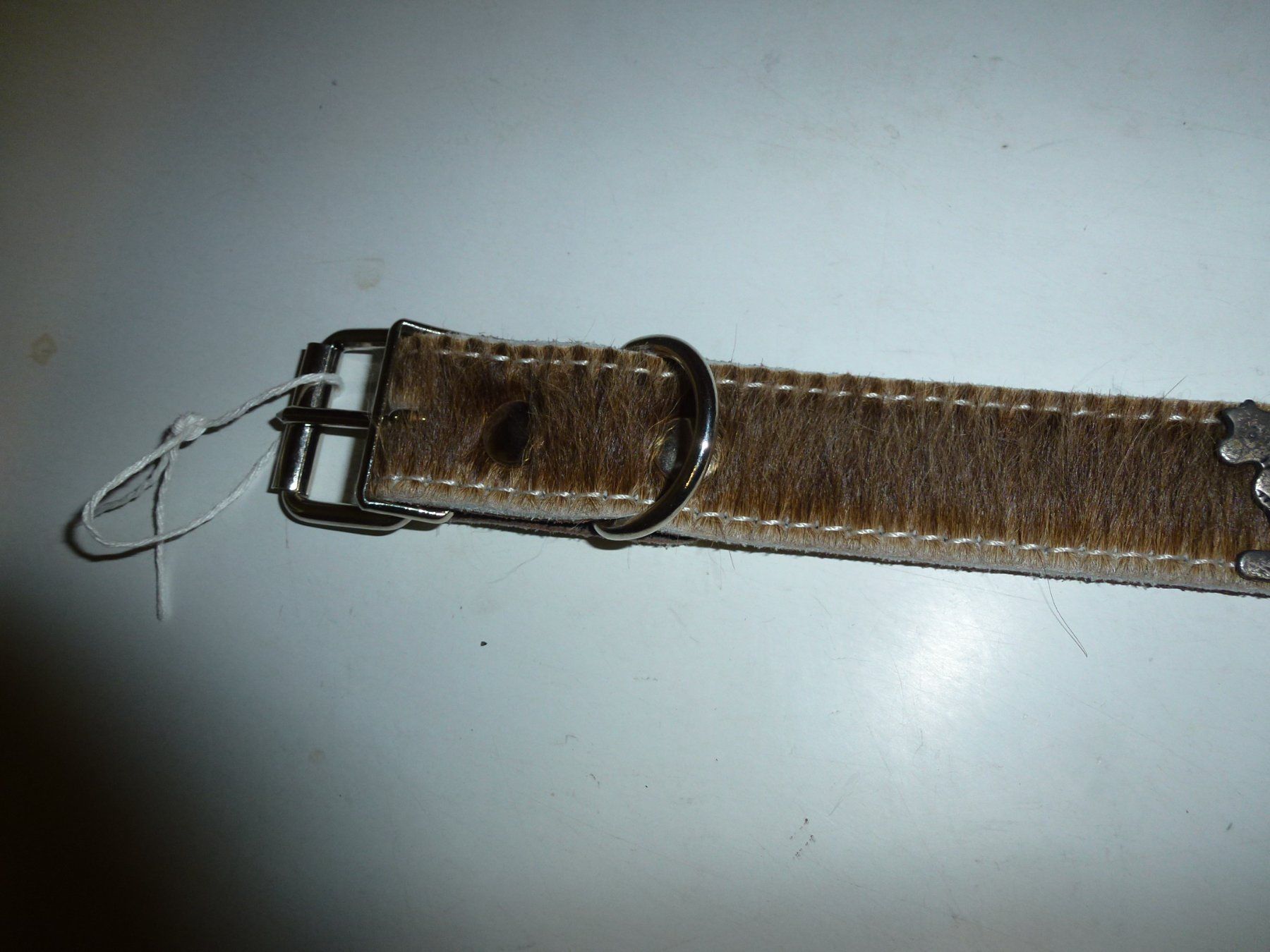 Guinzagli & Collari: Hundehalsband – Nuovo (secondo la descrizione) da Bürglen UR venduto da daisyxy5 2