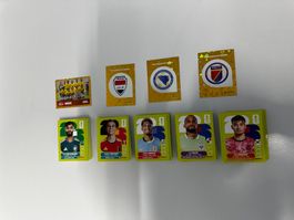 Lot 250 sticker Panini WC 2026 avec double !