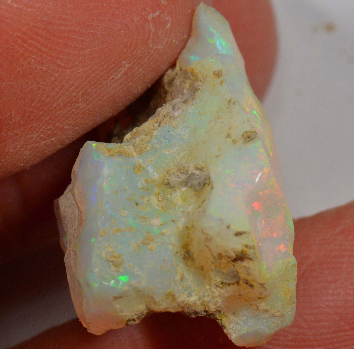Pietre preziose: 22.6 Karat - Roher Äthiopischer Welo Opal – Nuovo (secondo la descrizione) da Rüti ZH venduto da DeinOpal 3
