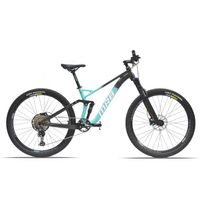 Fully Mountain Bike (neu)
