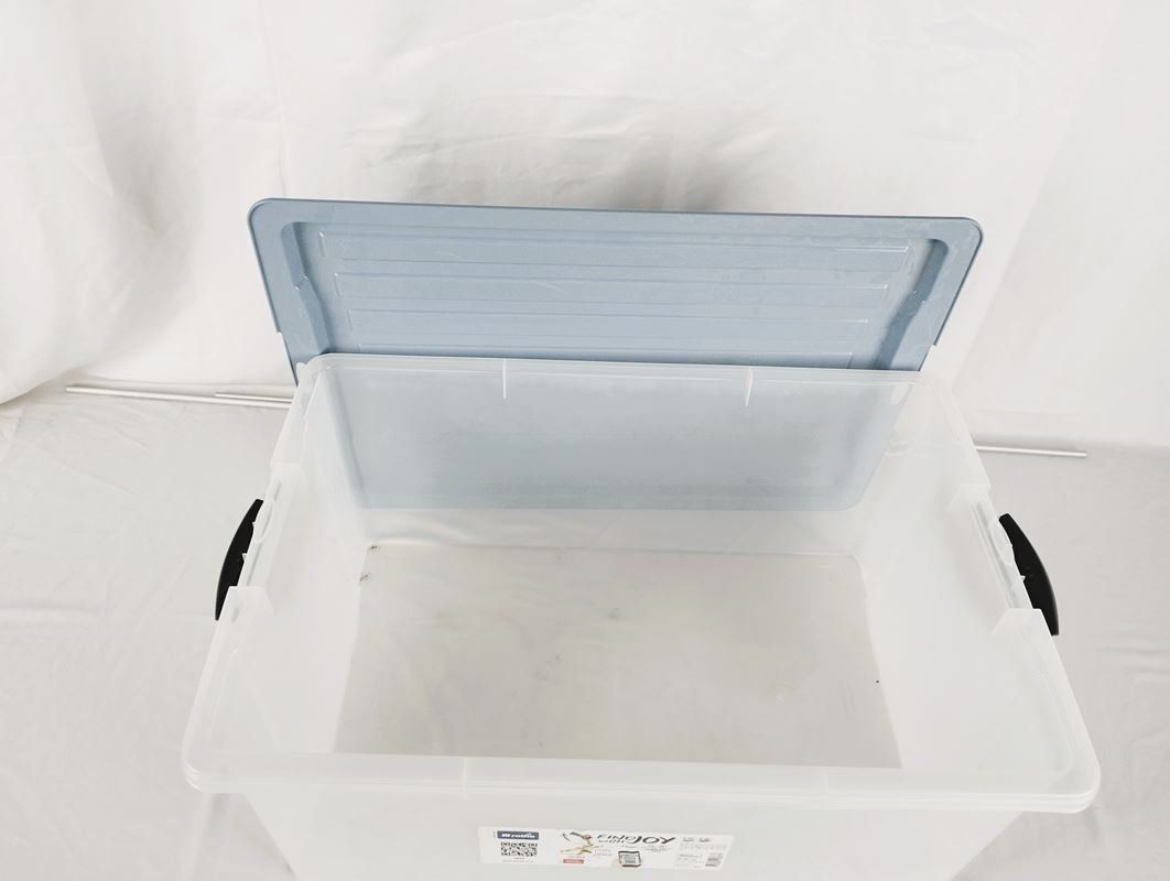 Rotho Contenitori & Simili: ROTHO Kunststoffbox mit Deckel 38 L – Usato da Schübelbach venduto da Restwert_Schubelbach 2