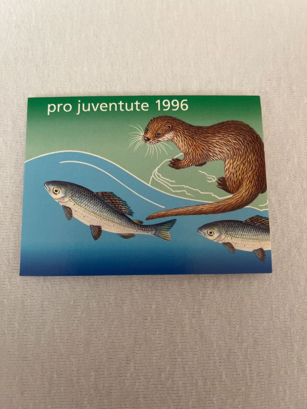 Tutti i francobolli: MH Pro Juventute 1996 ET-Stempel – Usato da Eppstein Vockenhausen venduto da hightech11