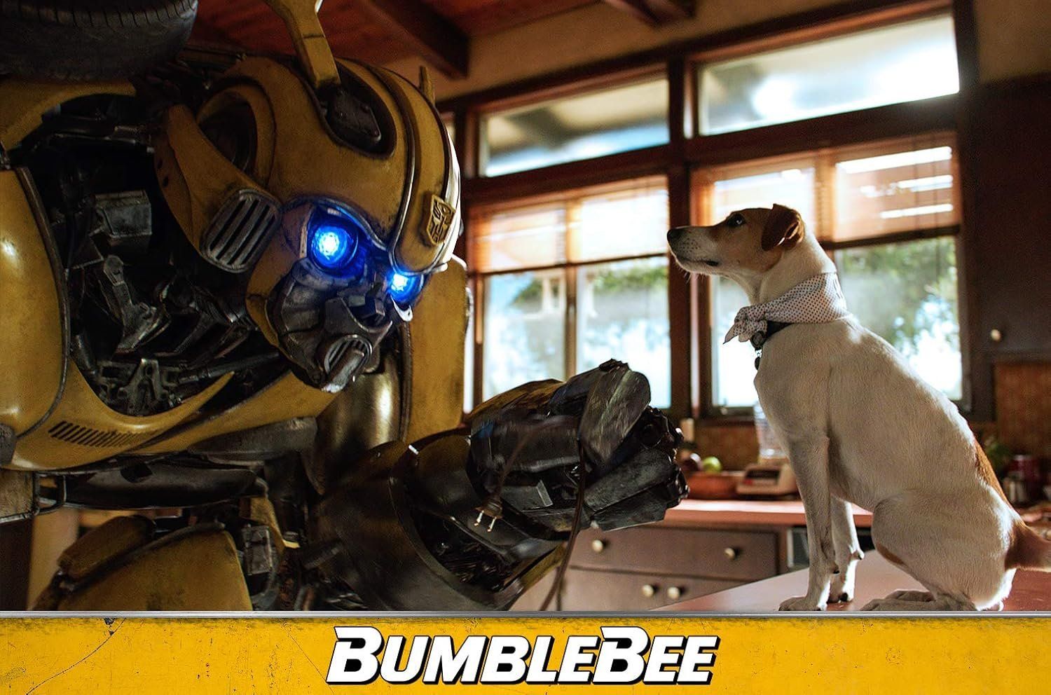 Alle DVDs: Blu-ray - Bumblebee - 4K + Blu - ray  - Steelbook – Neu und originalverpackt aus Dübendorf von 13geister 1