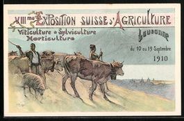 Lausanne, VIII. Exposition Suisse d'Agri