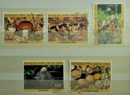 PILZE – CHAMPIGNONS / REPUBLIQUE POPULAIRE DU CONGO – 1985