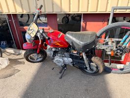 LIFAN MOTO Rot 50ccm 4-Takt Occasion gebraucht ähnlich Honda