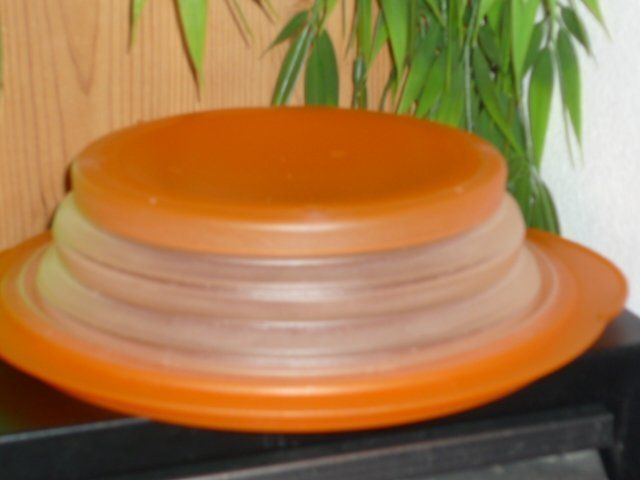Tupperware Contenitori & Simili: TUPPERWARE 1,5 L. – Usato da St.Gallen venduto da Anso