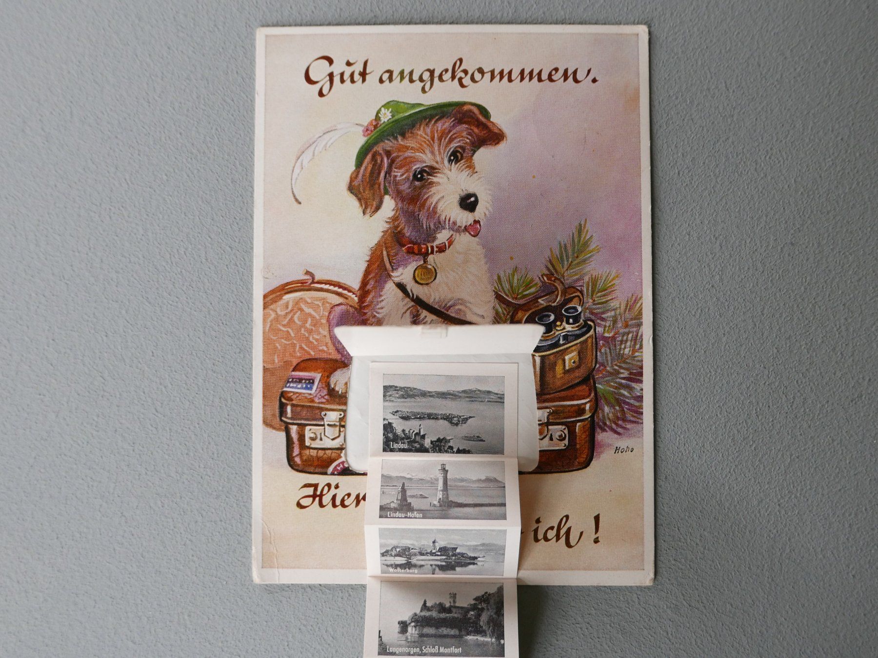 Cartoline postali: ANTIKE ANSICHTSKARTE MIT BILDERBOGEN GRUSS VOM BODENSEE – Usato da Balgach venduto da Zwischenraum 5