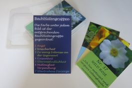 Kartenset Bachblüten mit Affirmationen