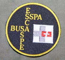 BUSA, Berufsunteroffiziersschule der Armee, Badge