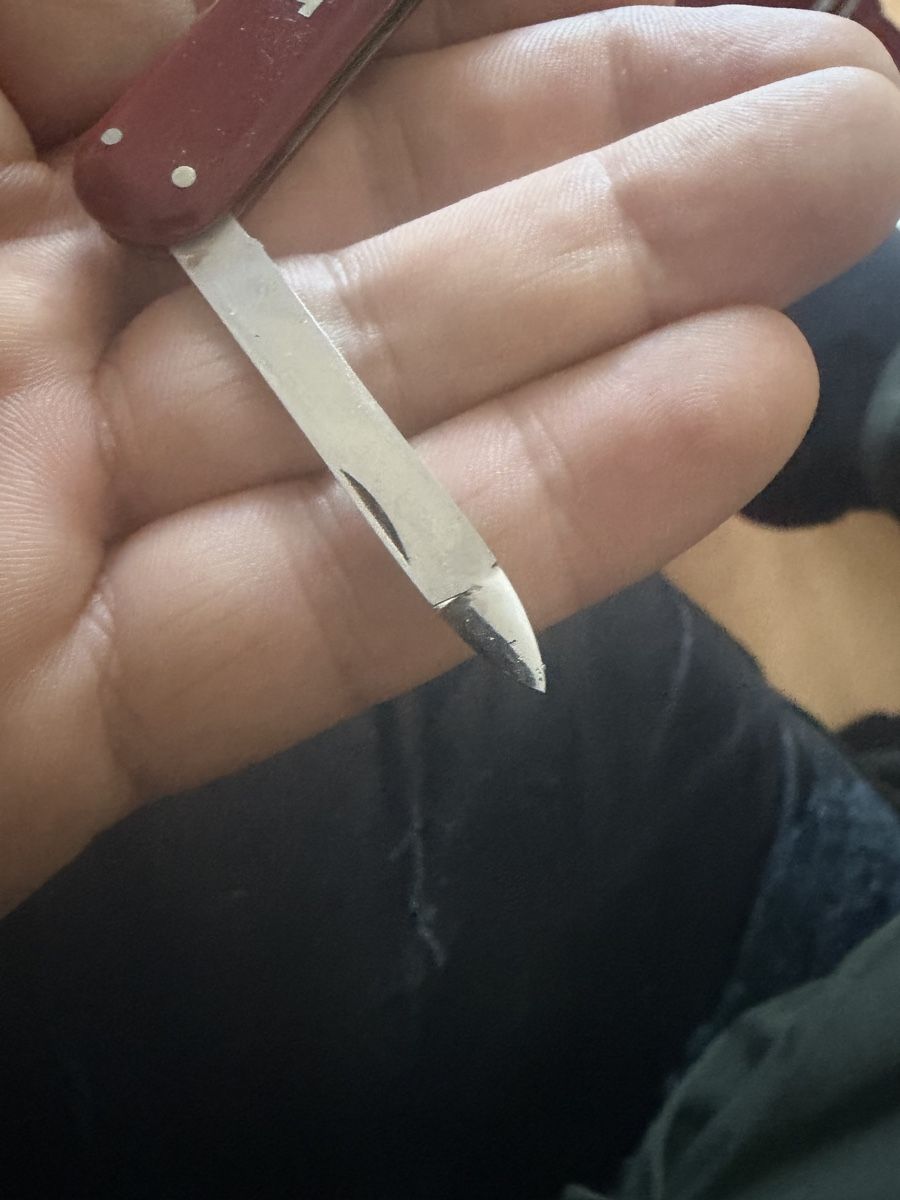 Coltelli tascabile: Sackmesser Inoxyd – Usato da Baden venduto da noli.r 7