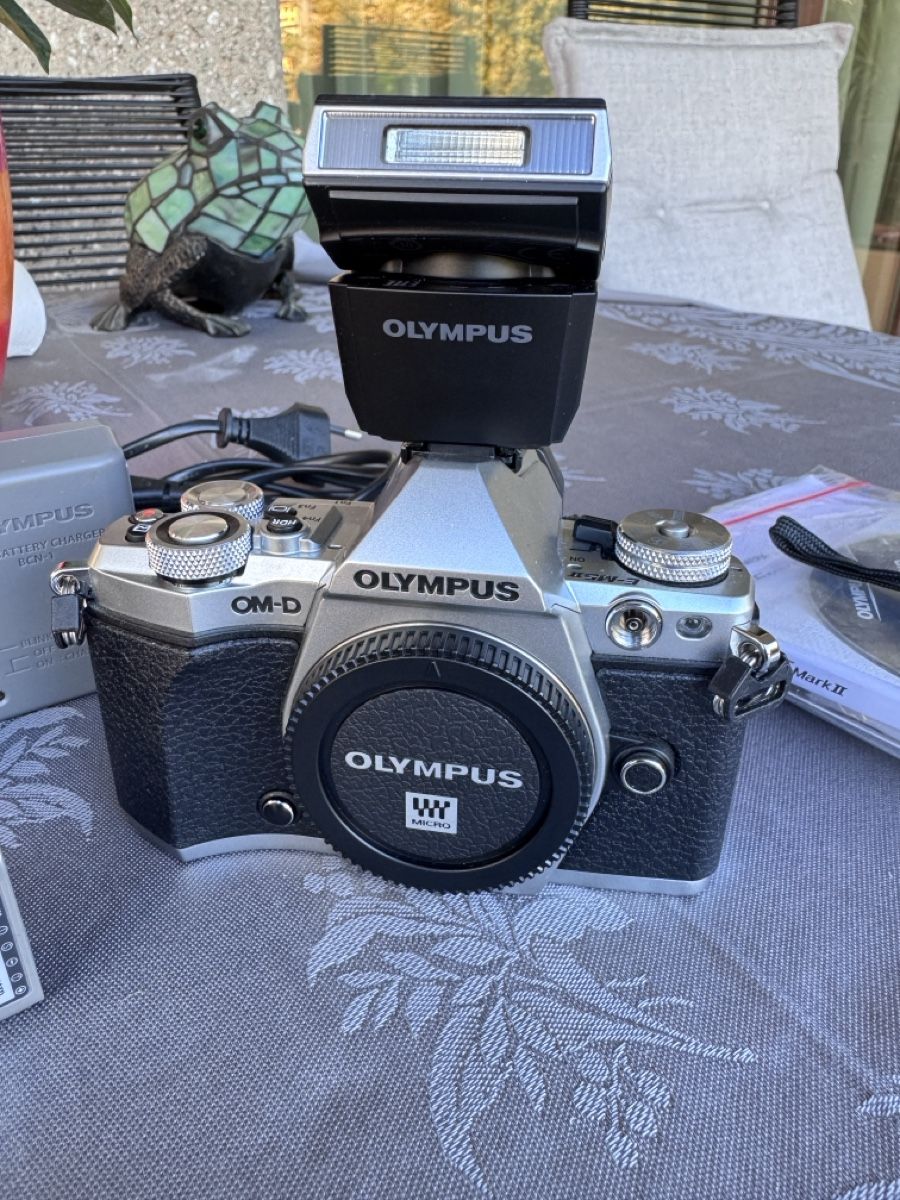 Olympus Fotocamera: Olympus OM-D E-M5 Mark II Mirrorless Camera with Flash – Usato da Viganello venduto da NicodemusRoger