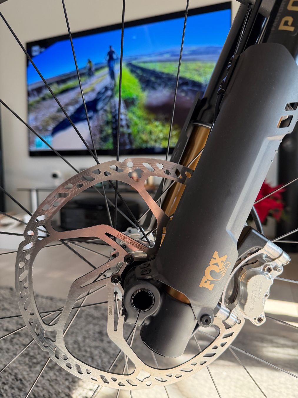 Specialized Biciclette: Specialized Turbo Levo 4 S-Works LTD S5 #2/100 – Nuovo (secondo la descrizione) da Vacallo venduto da Alevero 9