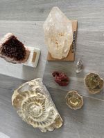 Mineralien Kristalle Fossilien Muschel wunderschö Sammlung