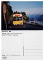 Hünibach Hilterfingen Thun Thunersee Bus STI Saurer SH560-25