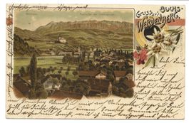 Gruss aus Buchs-Werdenberg (SG) Rheintal Schloss  Litho 1901