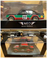 Ford Escort RS Gr.2 Castrol ETCC 1975 1:43