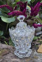 Zuckerdose aus Glas mit Deckel kristall geschliffen