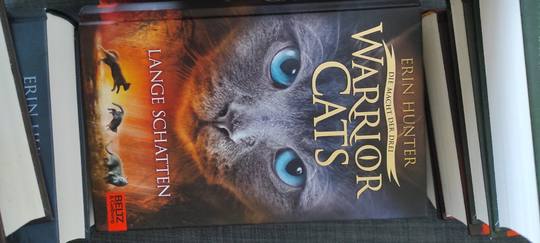 Libri: Warrior Cats, Staffel 3, 6 Bücher – Usato da Bassersdorf venduto da lar_9p6m 1