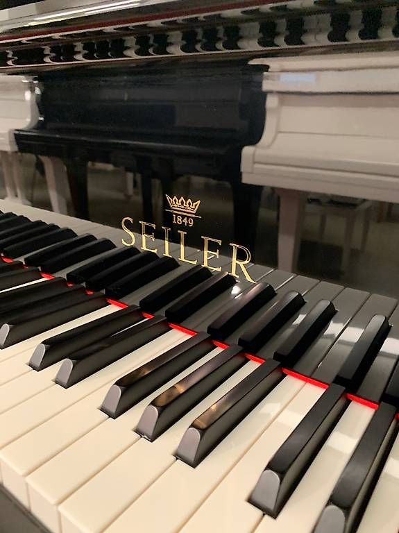 Strumenti musicali: Neuer Seiler Flügel – Nuovo (secondo la descrizione) da Niederhasli venduto da Musikhaus-Ammann 2