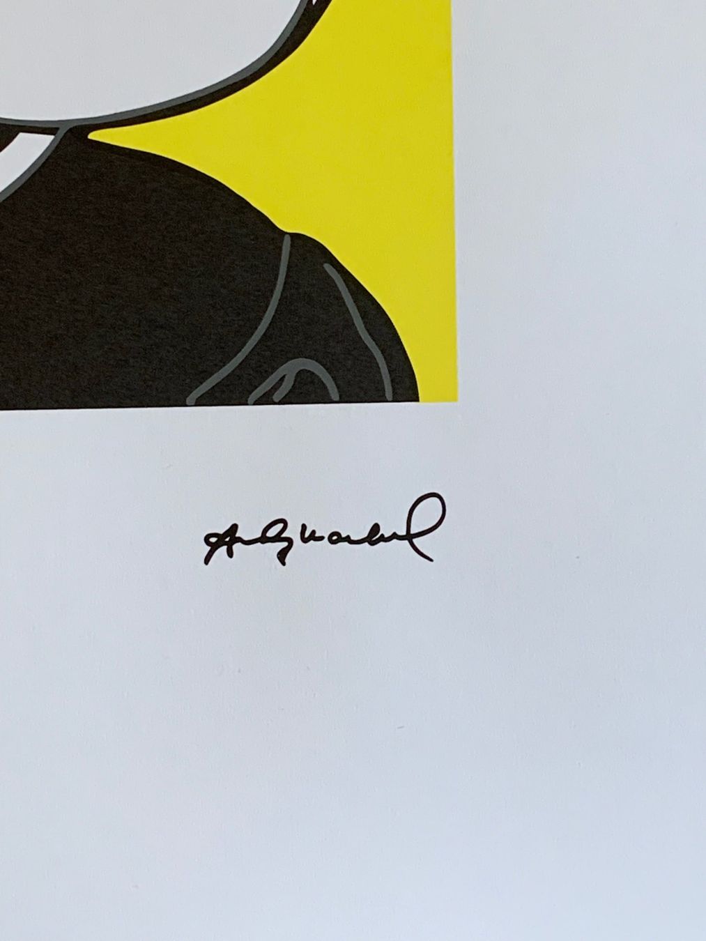 Foto & Immagini: Andy Warhol - Mickey Mouse 11/100 – Nuovo e nell'imballaggio originale da Adligenswil venduto da O_D_E_O_N 3