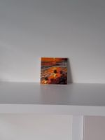 Rose, dipinto su tela 20x20 cm