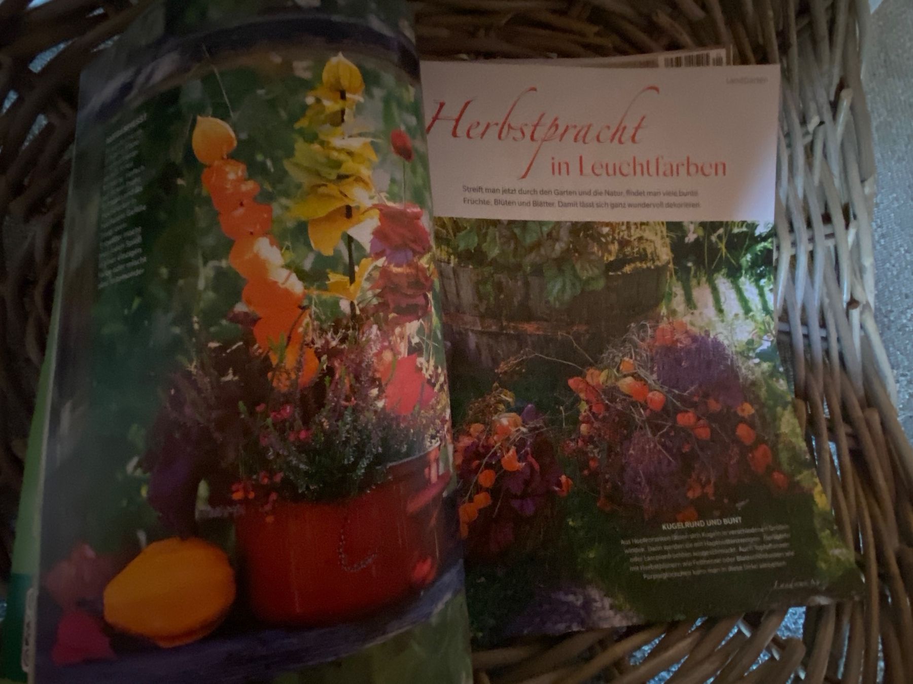 Revues & Magazines: MAGAZIN HEFT LANDIDEE – Neuf (Voir description) à Meienried par ManuelaBoutique 2