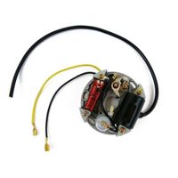 Zündung Puch Maxi, X 30 Mofa Moped Töffli Motorrad Bike Dirt
