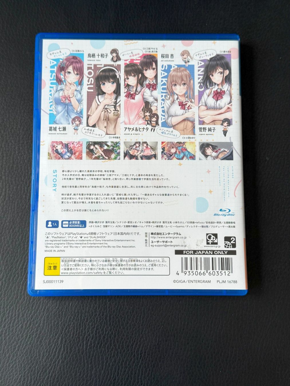 Giochi: Ai Kiss 2 PS4 Japan Import – Usato da Wil SG venduto da NICK222 1