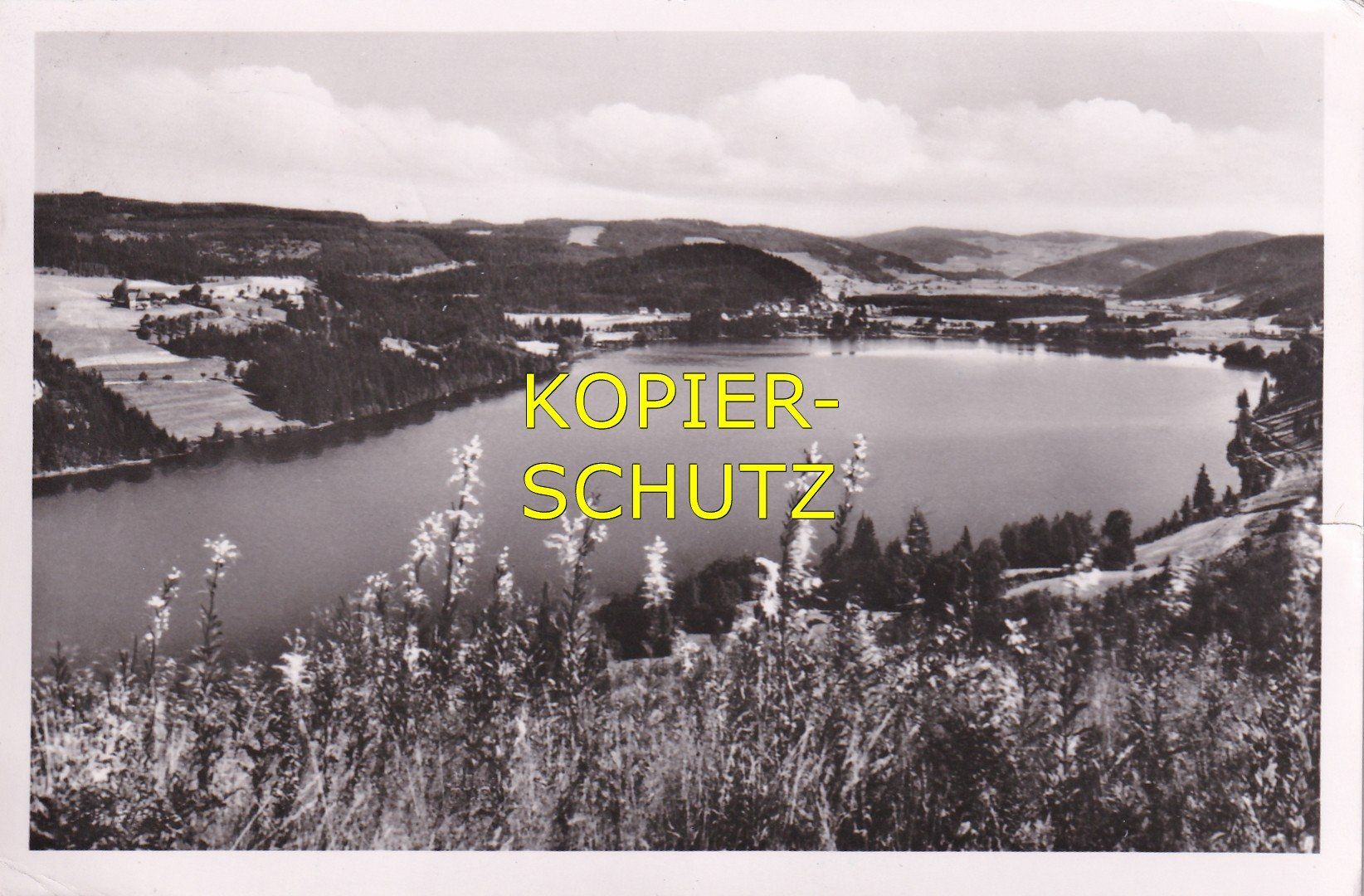 Cartoline postali: Titisee im Schwarzwald /mp – Usato da Hombrechtikon venduto da Rudolf07