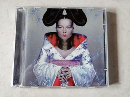 Björk  -  Homogenic