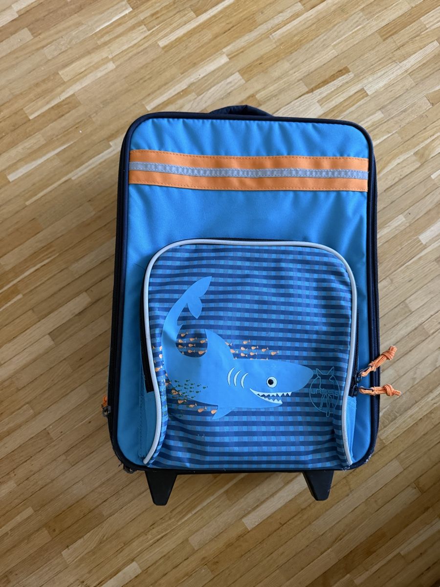 Valigie & Borse: Kinder Trolley Koffer Reisegepäck 20L – Usato da Zürich venduto da pluto124
