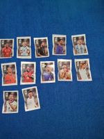 CC Panini