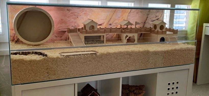 Käfige, Transport & Sicherheit: Hamstervilla Glas – Gebraucht aus Niederhasli von Palmier83400 2