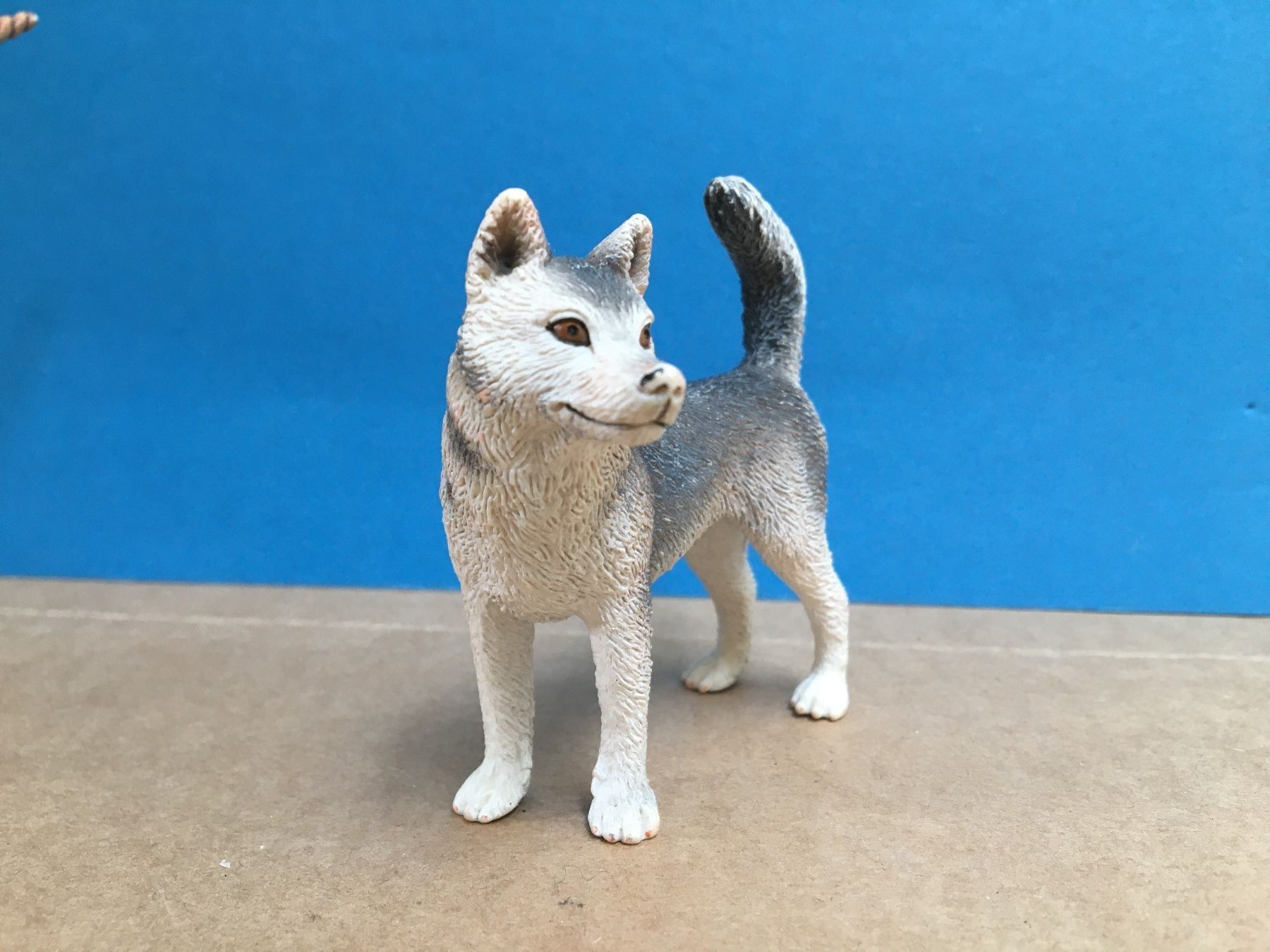 Schleich Figuren: Schleich 16372 Husky Hündin Hund – Gebraucht aus Ennetbaden von mapa05 3