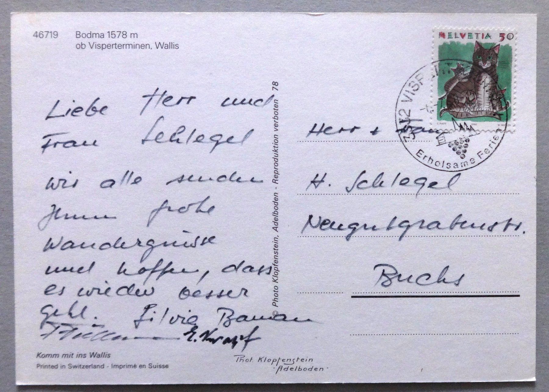 Cartes postales: Bodma, 1578 m,  ob Visperterminen – D'occasion à Fétigny par Billy2miny 1