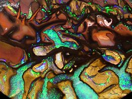theOPAL *** TOP KOROIT MATRIX OPAL 44,03ct ***