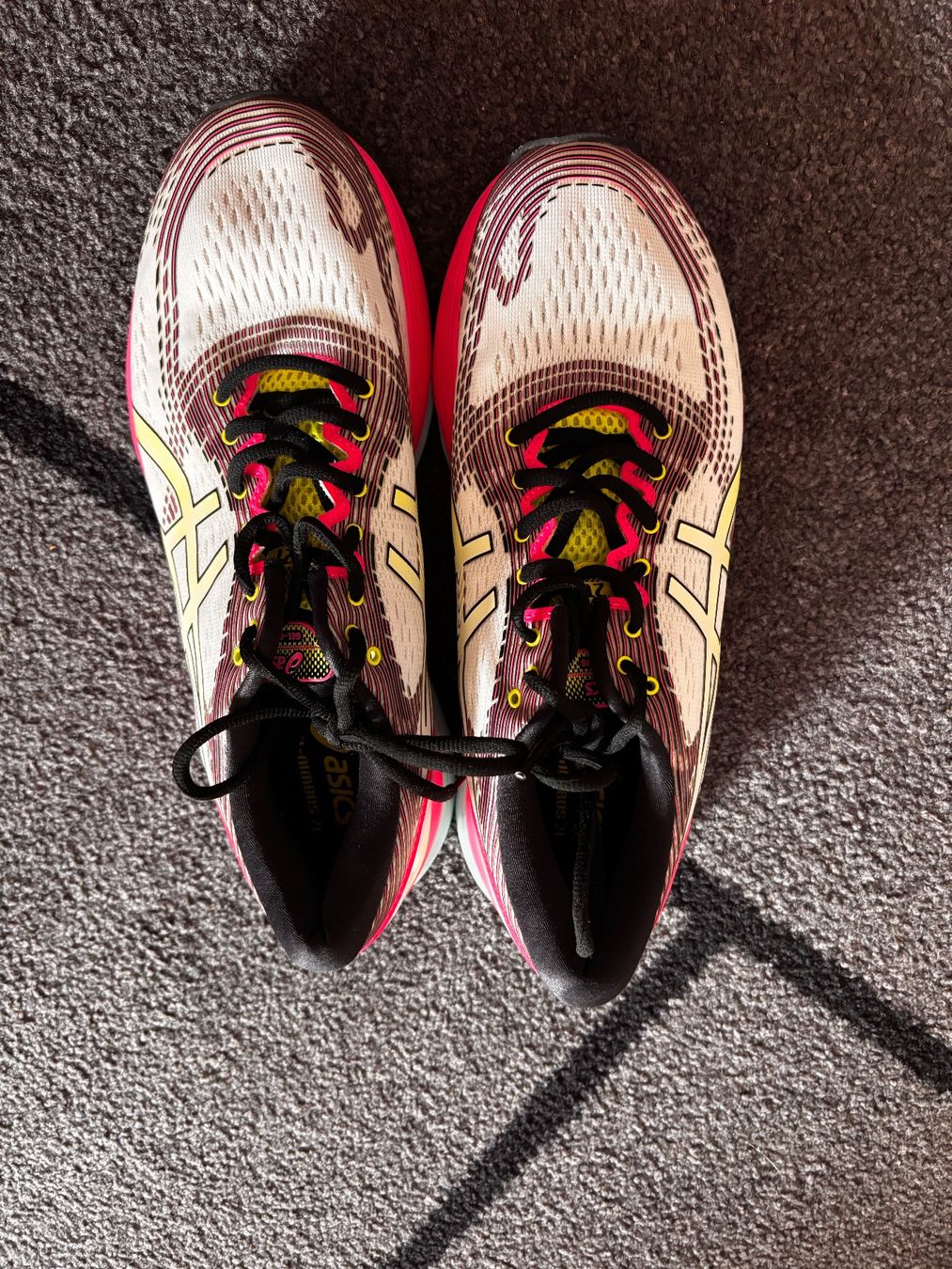 Asics Scarpe da donna: Asics Gel-Nimbus 21 – Usato da Brüttisellen venduto da mel_ttj6 4