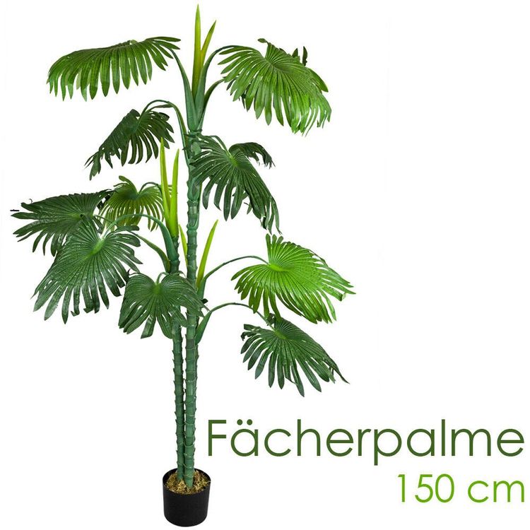 XXL Fcherpalme 150 Kunstpflanze Kunstpalme Palme Palmenbaum (Neu und  originalverpackt) in Wallenwil fr CHF 79  mit Lieferung auf Ricardo kaufen