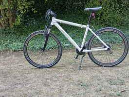 CYCO Active Line Sport Mountainbike – 26 Zoll – 24 Gang