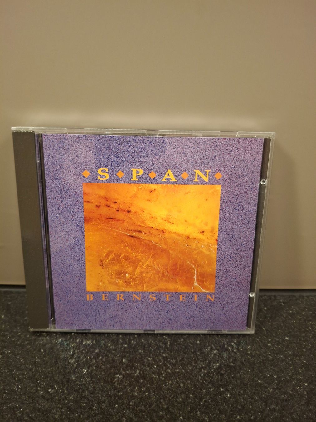 CD: CD SPAN Bernstein guter Zustand – Usato da Horriwil venduto da TOKYONIGHTS