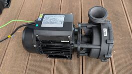 LX LP300 Whirlpool Massagepumpe 2.2 kW (635 L/min)